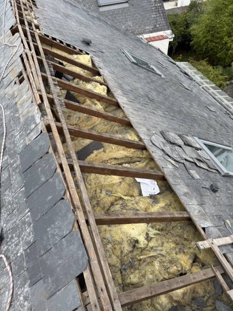 Dépose des anciens bois, abîmé