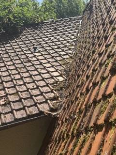 Avant nettoyage cote nord 