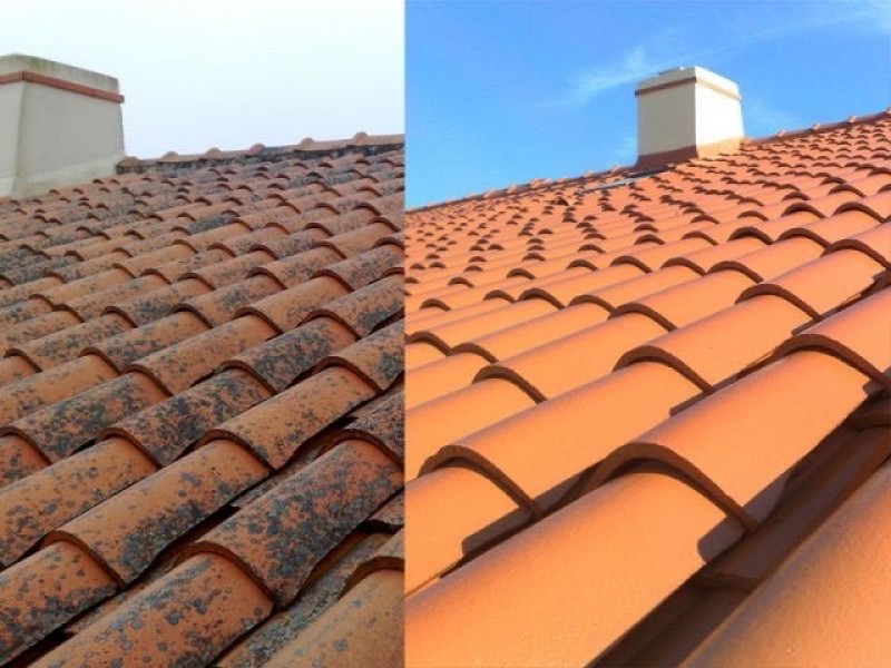  Nettoyage de toiture biologique d’Alep 2100 Nantes 44400