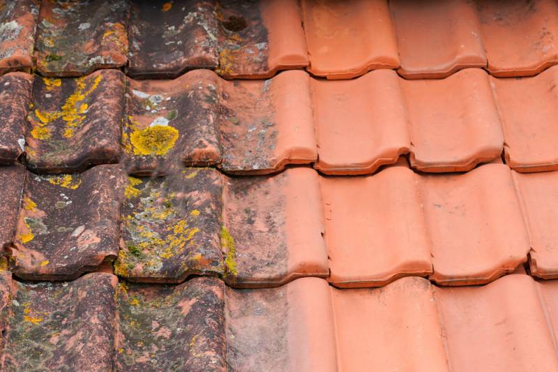 Quand faut il faire le nettoyage de la toiture d'une maison dans la région Nantaise ?