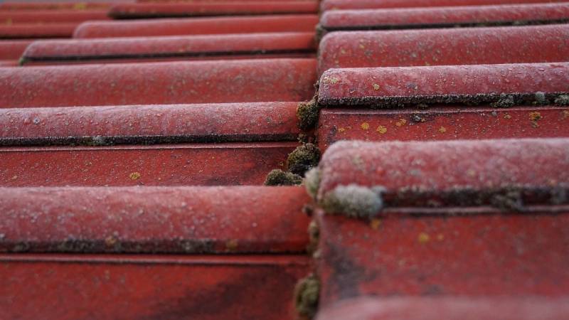 Faire appel à un artisan couvreur zingueur pour un démoussage et nettoyage des tuiles à Nantes